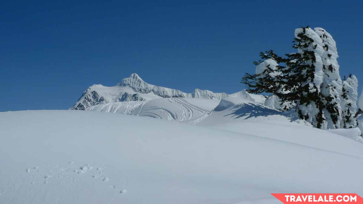 Artist Point Snowshoe