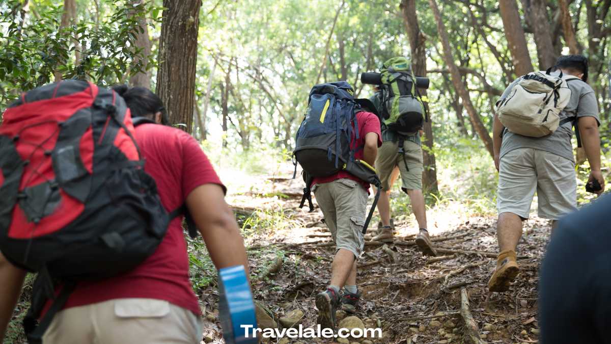 Outdoor Downtime Activities