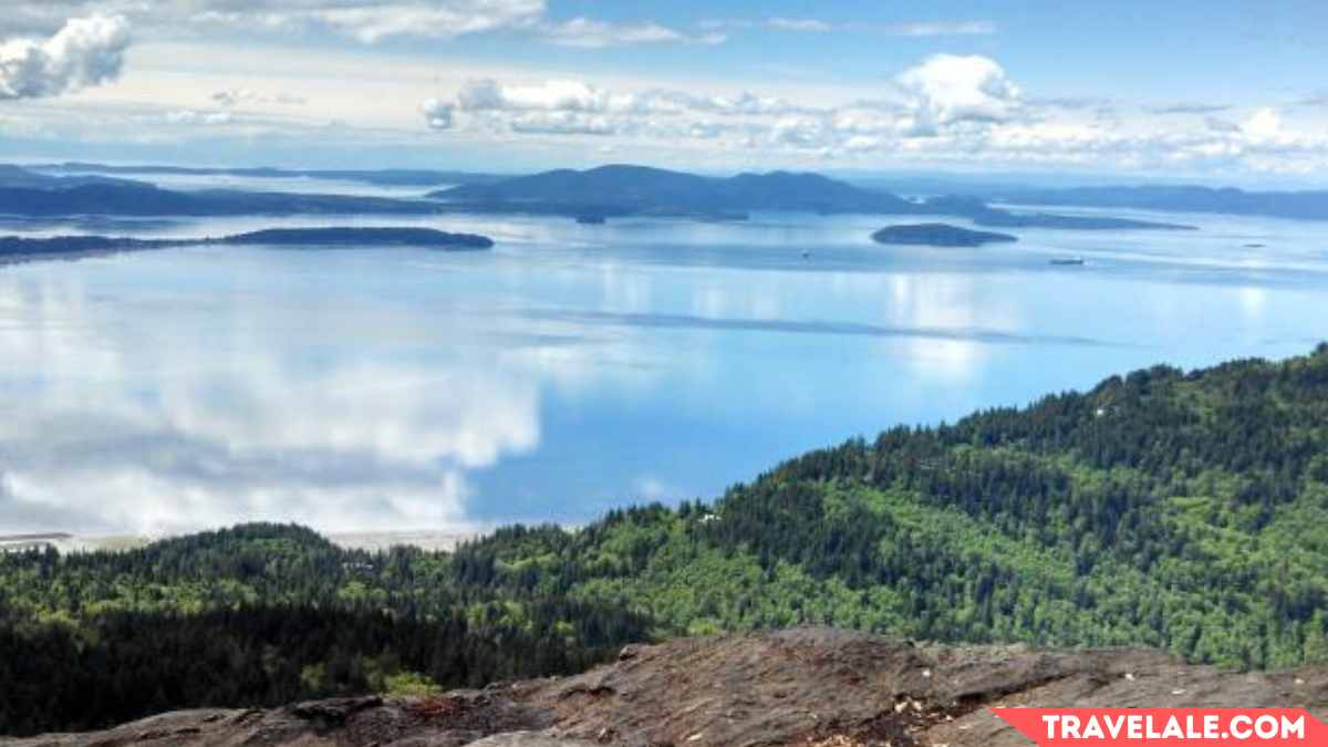 Oyster Dome