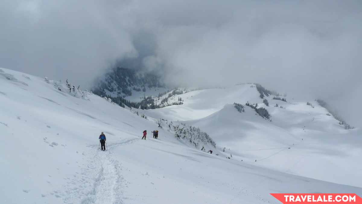 Panorama Point Snowshoe via Skyline Trail