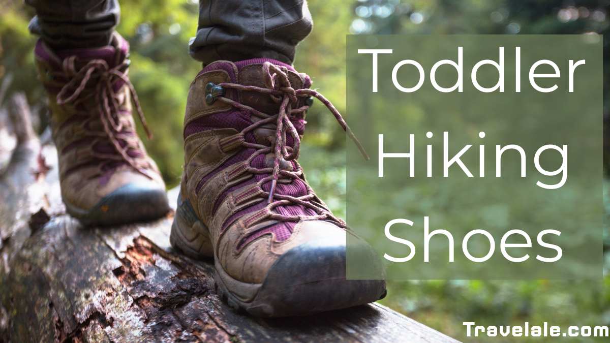 Toddler Hiking Shoes