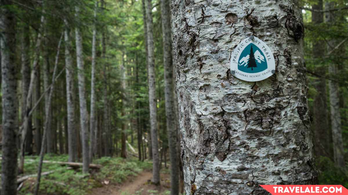 Training for the Pacific Crest Trail