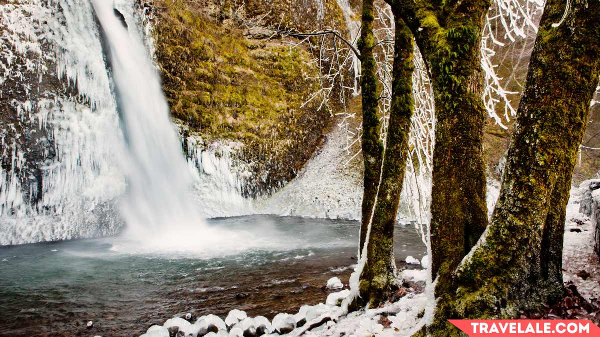 Winter Wonderland at Stewart Falls