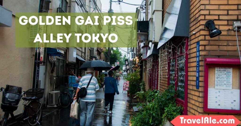 Golden Gai Piss Alley Tokyo