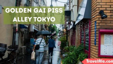 Golden Gai Piss Alley Tokyo