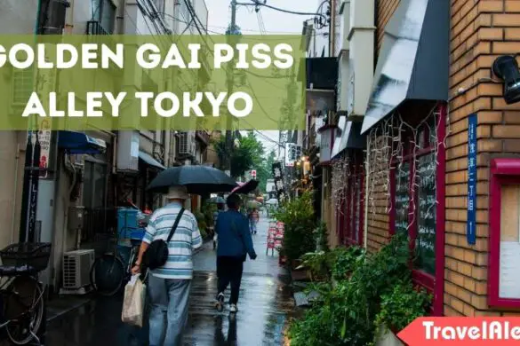 Golden Gai Piss Alley Tokyo
