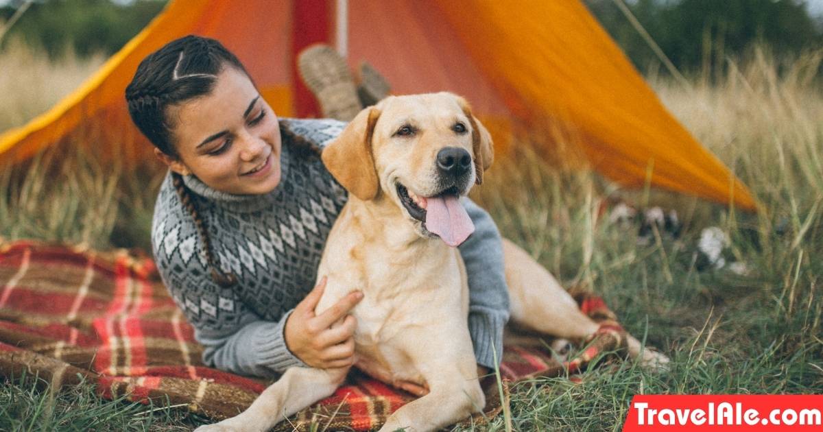Camping With Pets