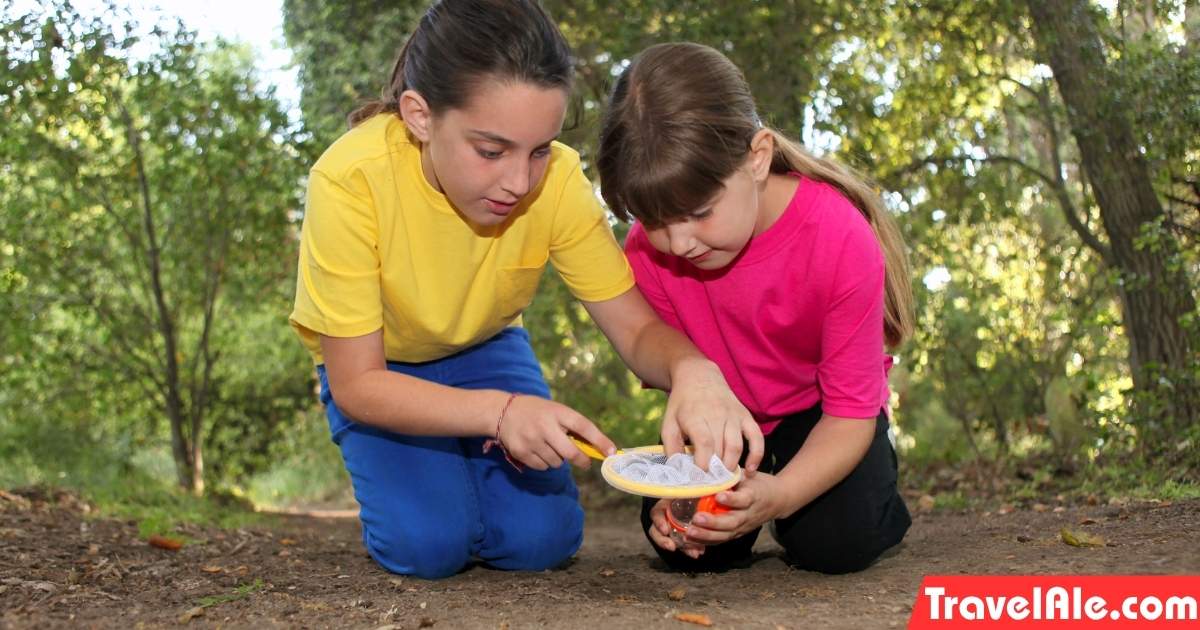 Explore with a Nature Scavenger Hunt