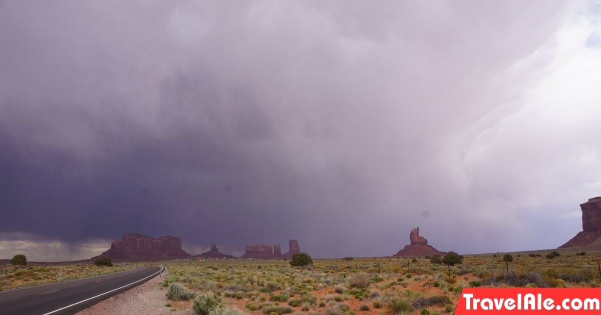 Monument Valley & Petrified Forest
