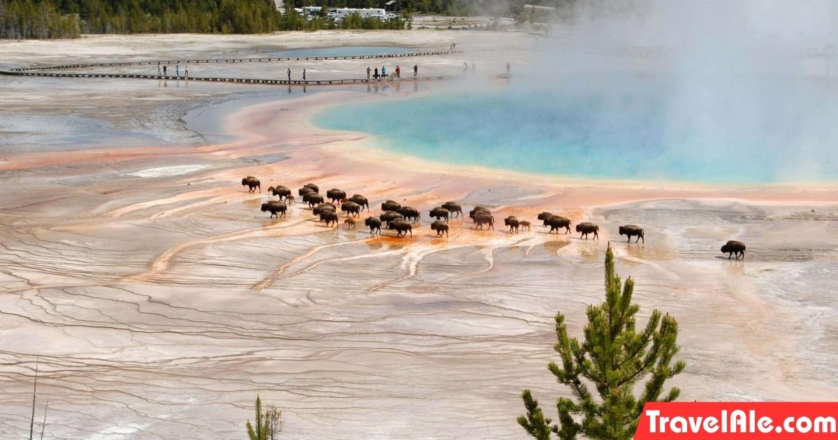 Yellowstone National Park