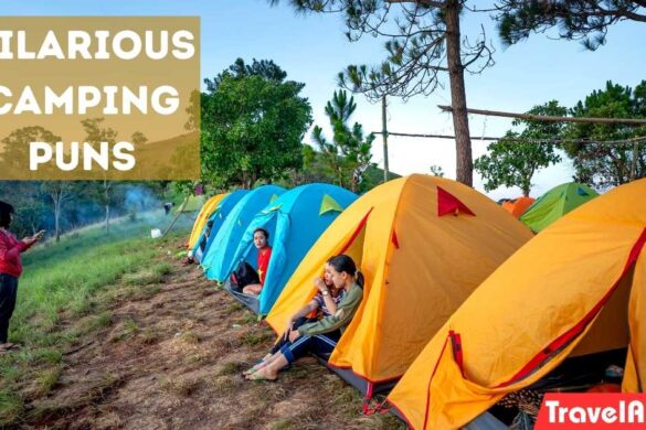 Camping Puns