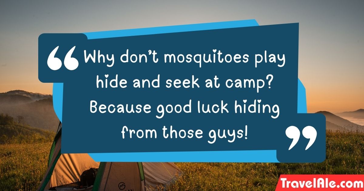 Camping Puns for camp