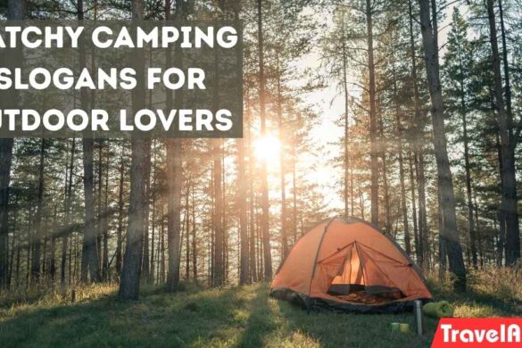 Catchy Camping Slogans for Outdoor Lovers