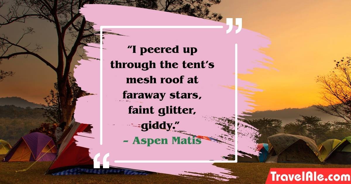 Funny Camping Quotes