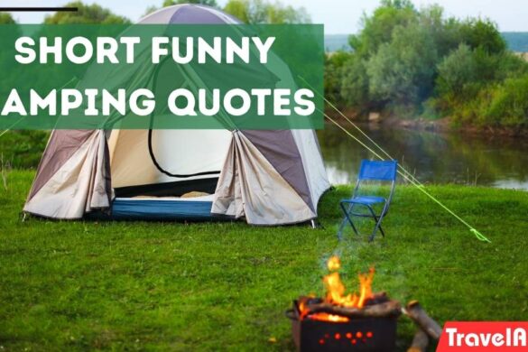 Short Funny Camping Quotes