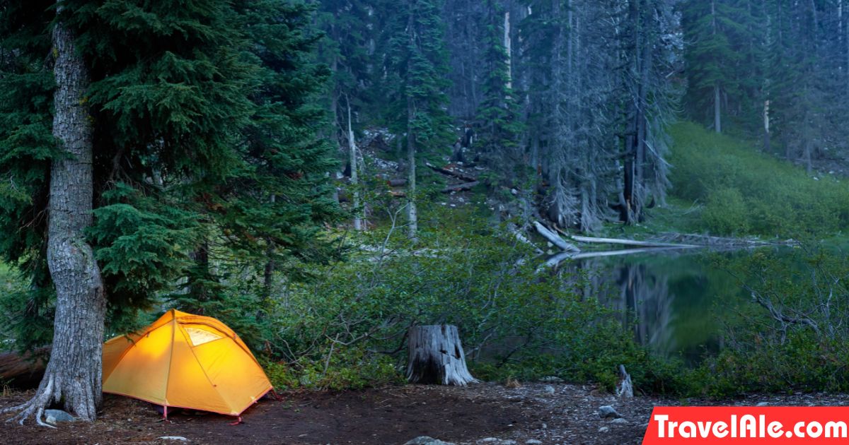 Sweet and Savory Options to Satisfy Your Camp Appetite