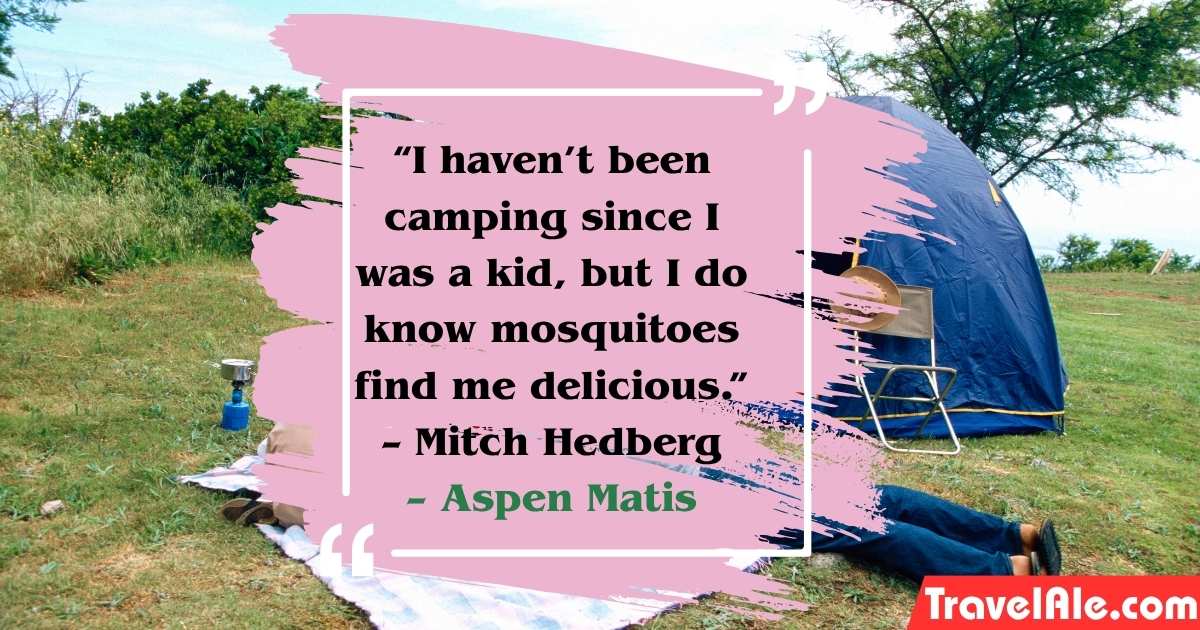 “I haven’t been camping since I was a kid, but I do know mosquitoes find me delicious.” – Mitch Hedberg